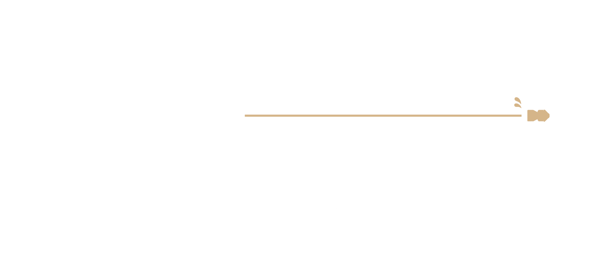 logo-acf-solutions